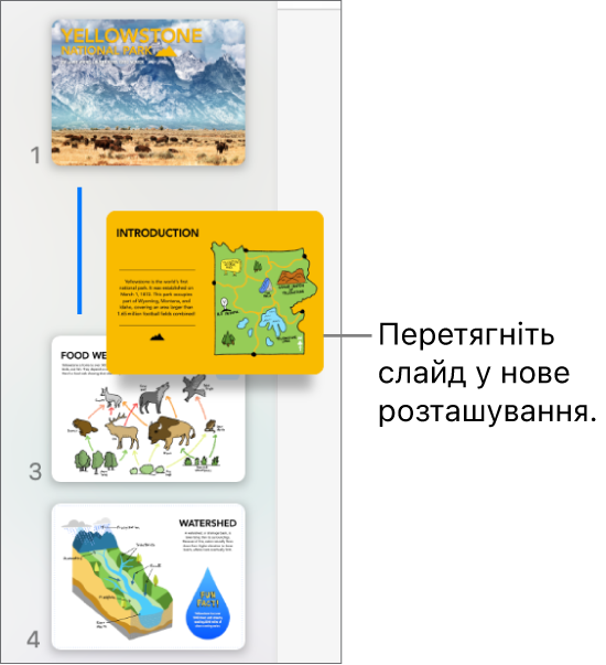 Навігатор слайдів, перевпорядковані мініатюри слайдів та лінія ліворуч.