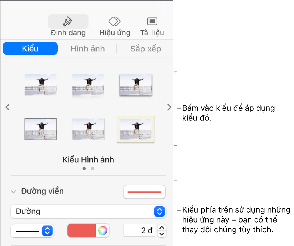 Tab Kiểu của thanh bên Định dạng hiển thị các tùy chọn kiểu đối tượng.