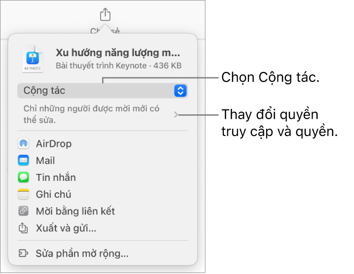 Menu Chia sẻ với Cộng tác được chọn ở trên cùng và các cài đặt quyền truy cập và quyền ở bên dưới.