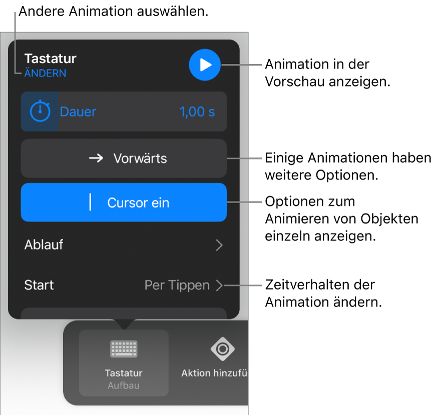 Animationsoptionen wie „Dauer“, „Ablauf“ und „Start“. Tippe auf „Ändern“, um eine andere Animation zu wählen, oder tippe auf „Vorschau“, um eine Vorschau der Animation anzuzeigen.