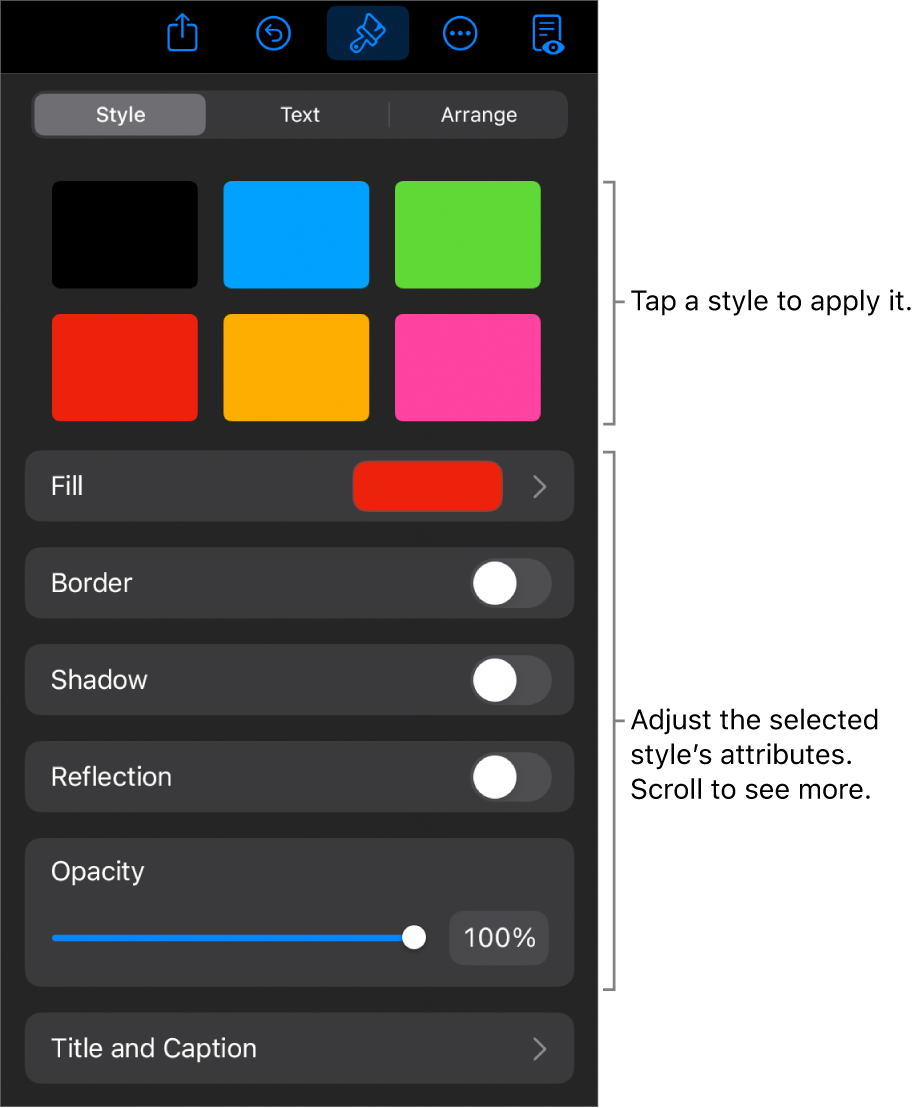 The Style tab of the Format menu with object styles at the top and controls below them to change the border, shadow, reflection and opacity.