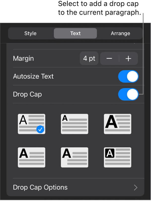 The Drop Cap controls located in the Text menu.