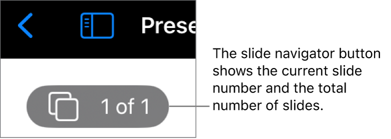 The slide navigator button showing the current slide number and the total number of slides in the presentation.