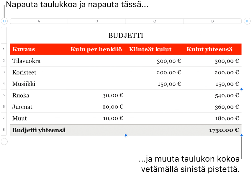 Valittuna taulukko, jossa on siniset pisteet koon muuttamiseen.