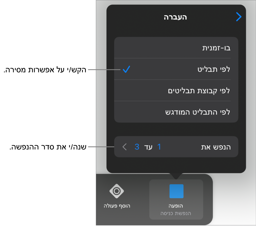 אפשרויות ״העברה״ בחלונית ״הנפשת כניסה״.