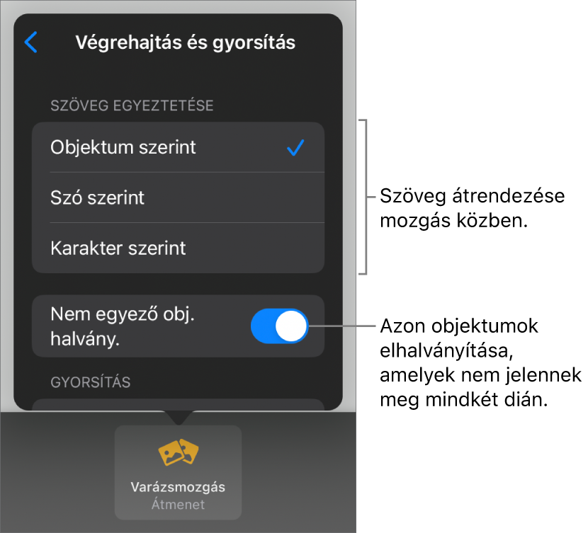 A Varázsmozgás végrehajtás és gyorsítás beállításai a Gyorsítás panelen