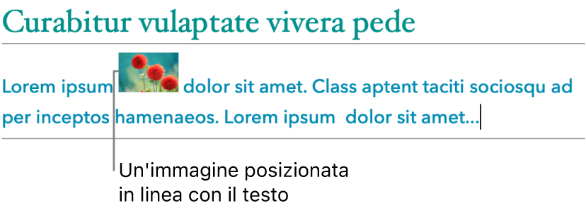 Un’immagine posizionata in linea con il testo.