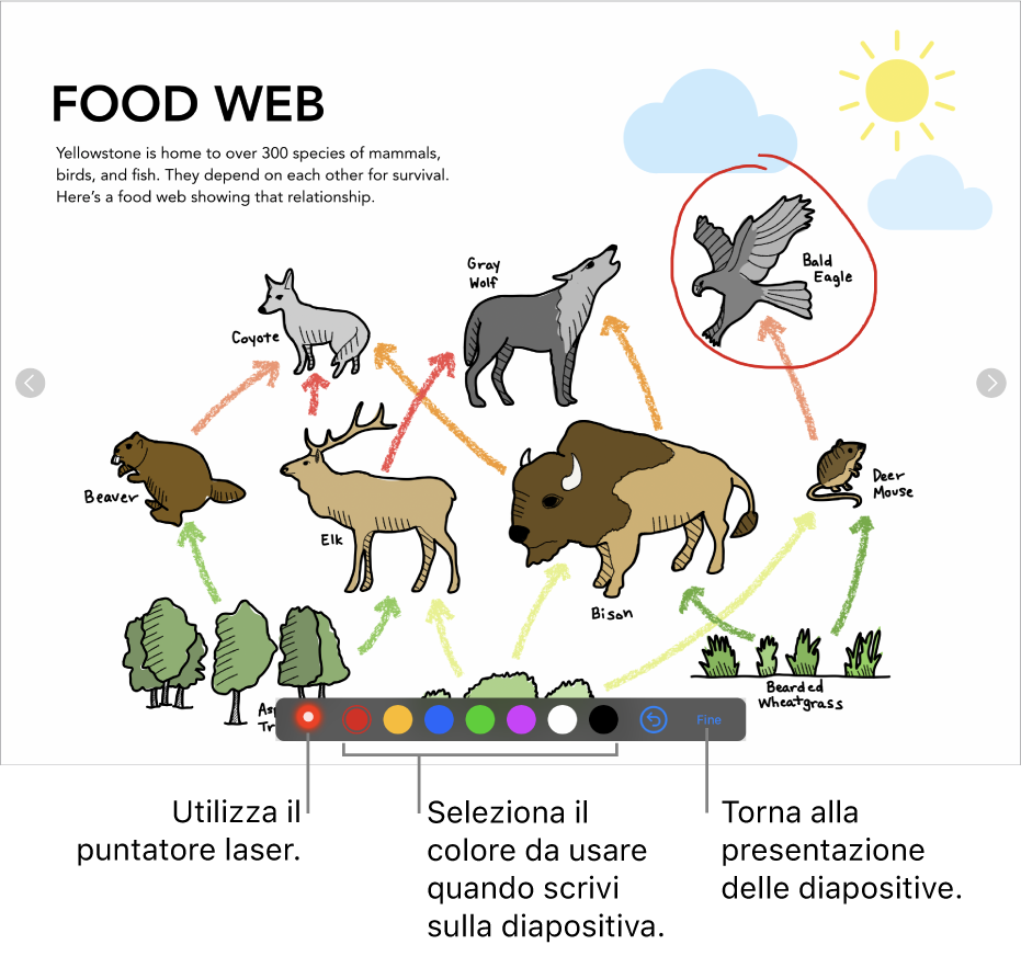 Diapositiva in modalità di illustrazione diapositive con il puntatore laser e i controlli di selezione del colore.