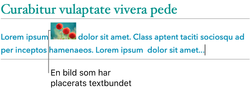 En bild placeras förankrad till texten.