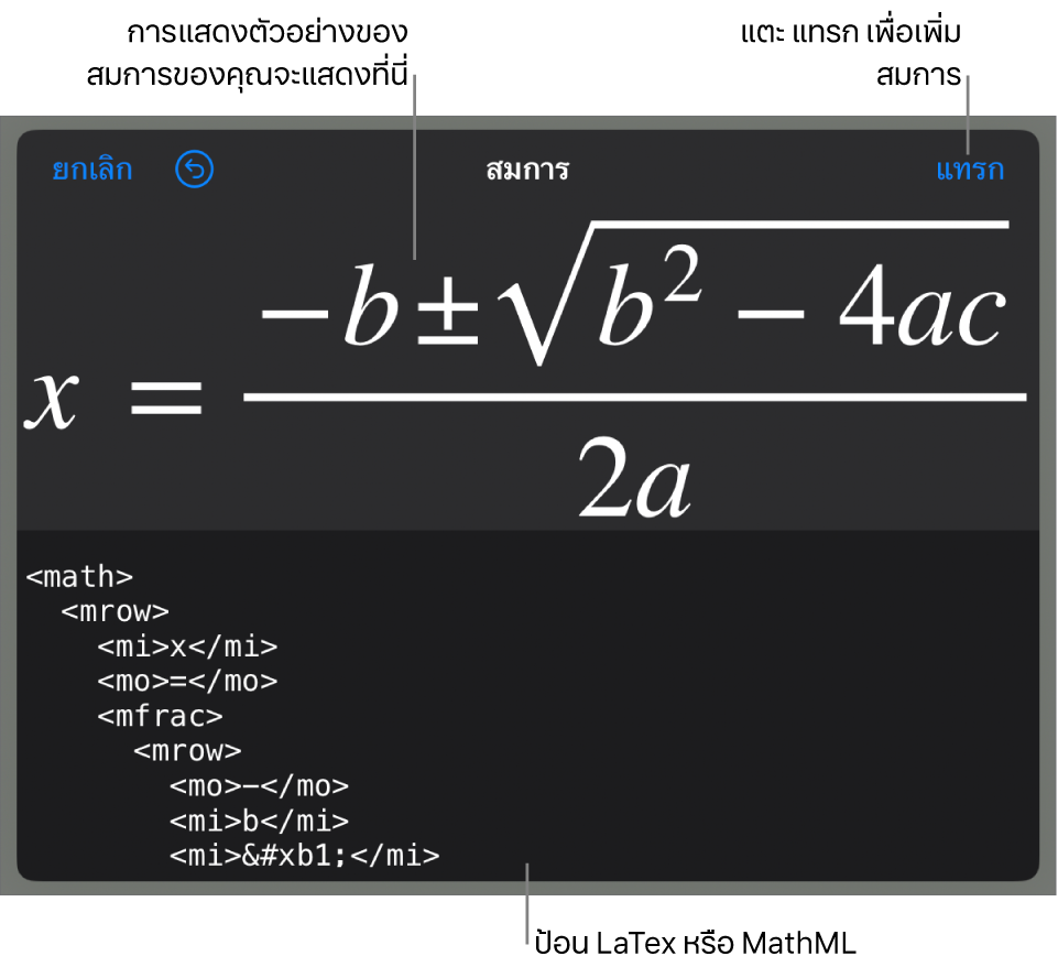 หน้าต่างโต้ตอบสมการ ที่แสดงสมการที่เขียนโดยใช้คำสั่ง MathML และการแสดงตัวอย่างของสูตรด้านบน