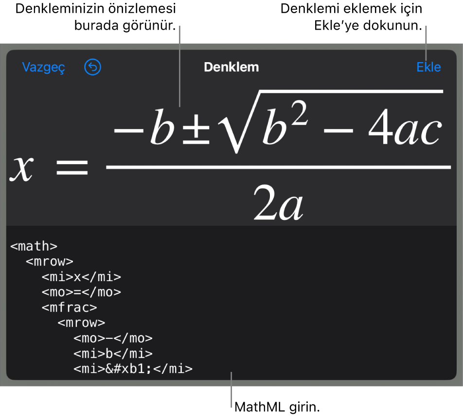 MathML komutları kullanılarak yazılmış bir denklemi ve onun üstünde formülün önizlemesini gösteren Denklem sorgu kutusu.