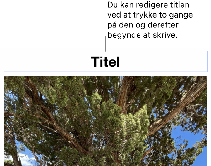 Eksempeltitlen “Titel” vises under et foto, og en blå kontur rundt om feltet med titlen viser, at det er valgt.
