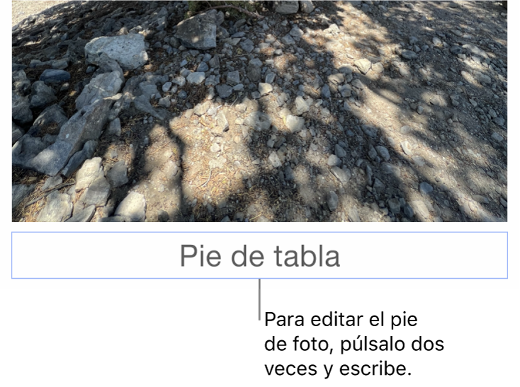 Debajo de una foto aparece el marcador de posición del pie de foto; un contorno azul que rodea el campo de pie de foto indica que está seleccionado.