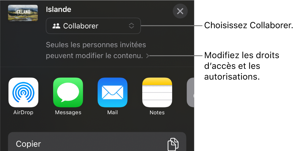 Le menu Partager avec l’option Collaborer sélectionnée dans le haut, au-dessus des réglages d’accès et d’autorisation.