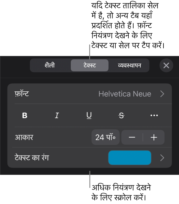 “फ़ॉर्मैट” मेनू में अनुच्छेद सेटिंग और वर्ण शैली, फ़ॉन्ट, आकार और रंग के लिए टेक्स्ट नियंत्रण।