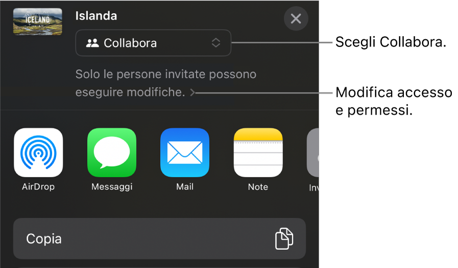 Il menu di condivisone con l’opzione Collabora selezionata in alto e le impostazioni di accesso e dei permessi sotto.