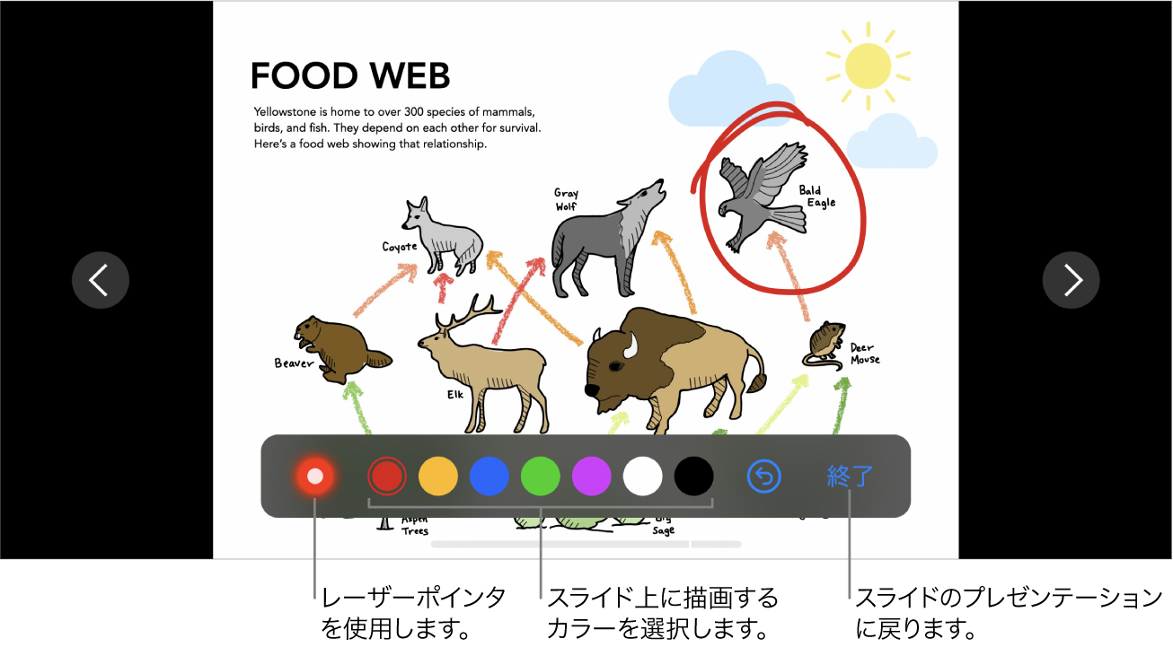 スライドの描画モードのスライド。レーザーポインタおよびカラー選択コントロールが表示された状態。