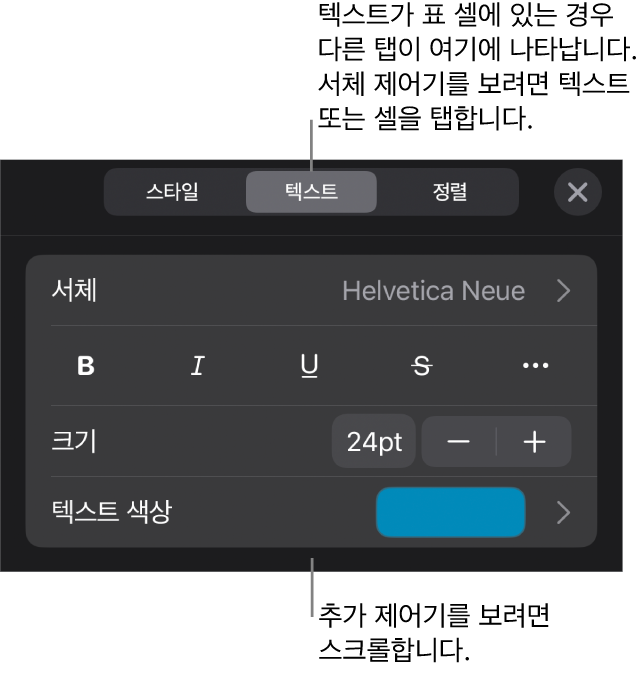 포맷 메뉴에 있는 단락, 문자 스타일, 서체, 크기 및 색상을 설정할 수 있는 텍스트 제어기.