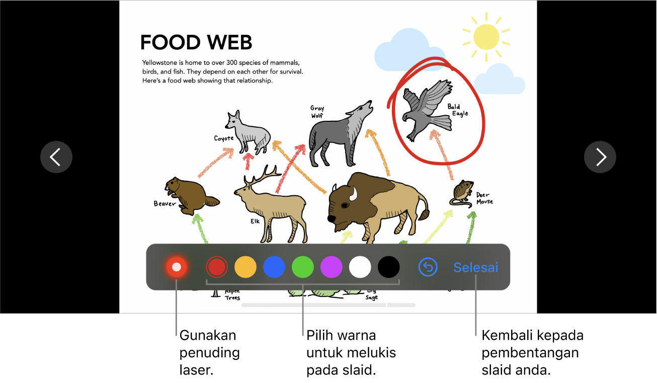 Mod ilustrasi slaid dalam slaid yang menunjukkan penuding laser dan kawalan pilihan warna.