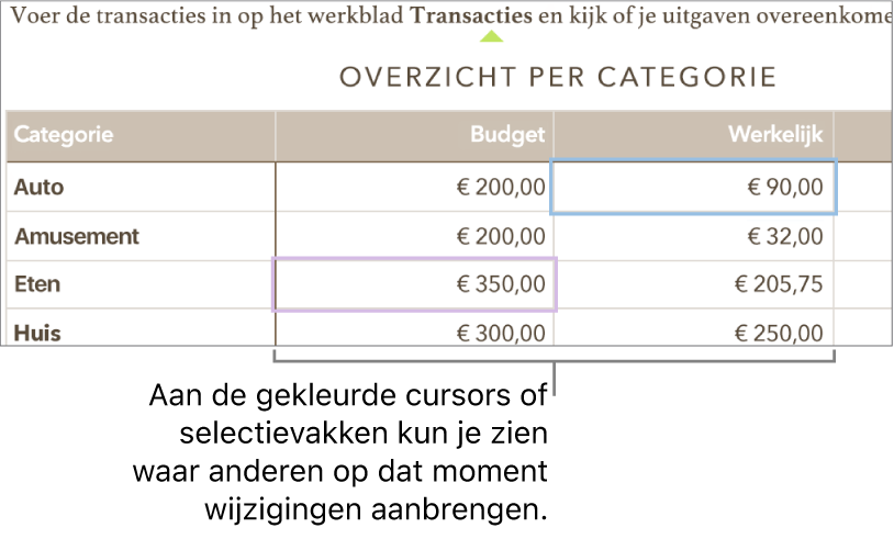 Cursors of selecties in verschillende kleuren geven aan waar anderen wijzigingen aanbrengen.