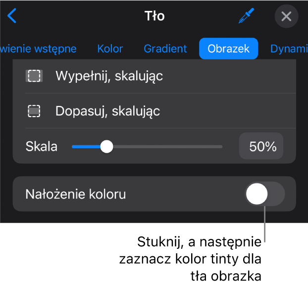 Narzędzia tła z obrazkiem ustawionym jako tło slajdu oraz na dole narzędzie Nałożenie koloru.