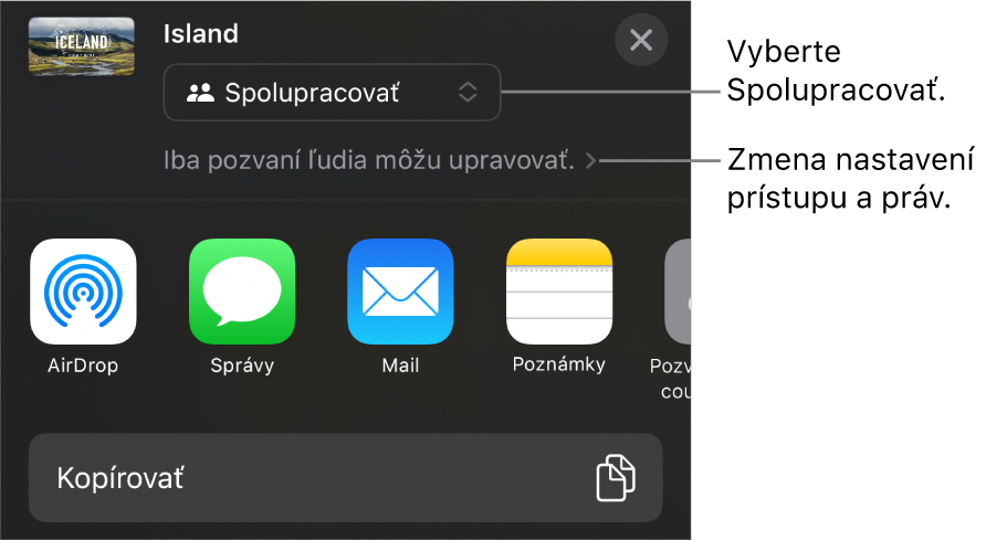 Menu Zdieľať s vybranou možnosťou Spolupracovať navrchu a pod ňou sa nachádzajú nastavenia prístupu a povolení.