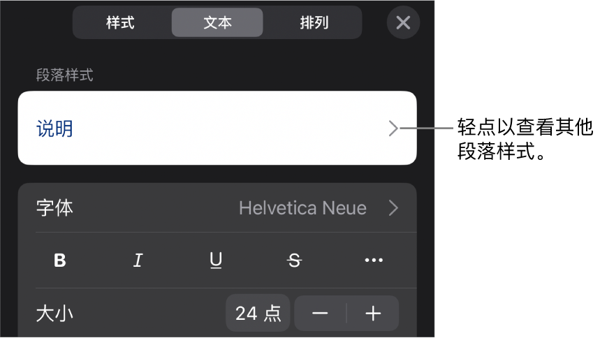 显示文本控制的“格式”菜单，用于设定段落和字符样式、字体、大小和颜色。