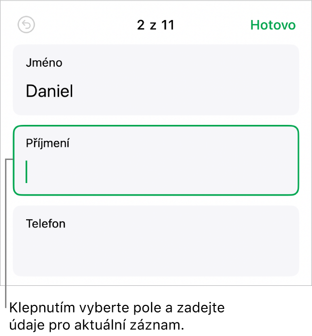 Záznam ve formuláři se zobrazeným aktivním polem, v němž se nachází kurzor
