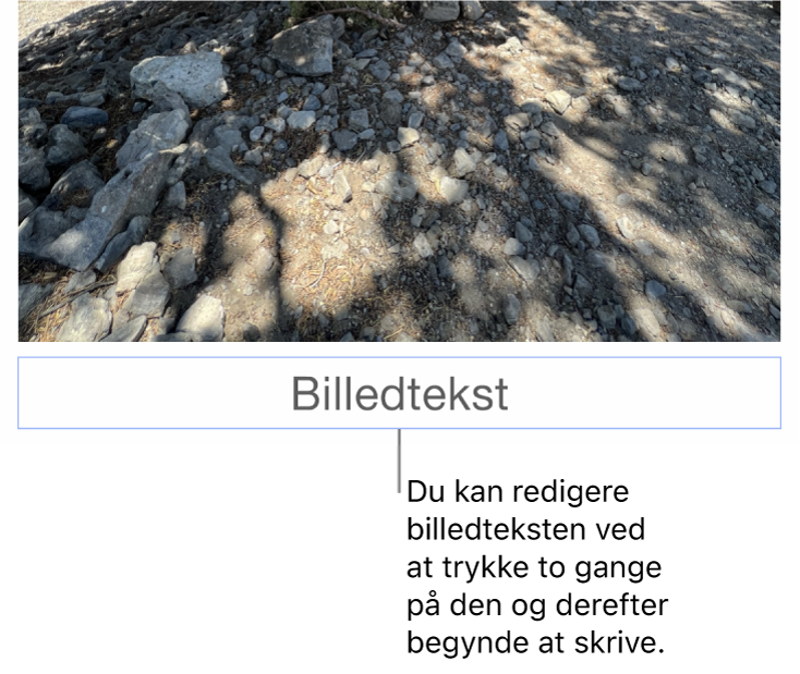 Eksempelbilledteksten “Billedtekst” vises under et foto, og en blå kontur rundt om feltet med billedtekst viser, at det er valgt.