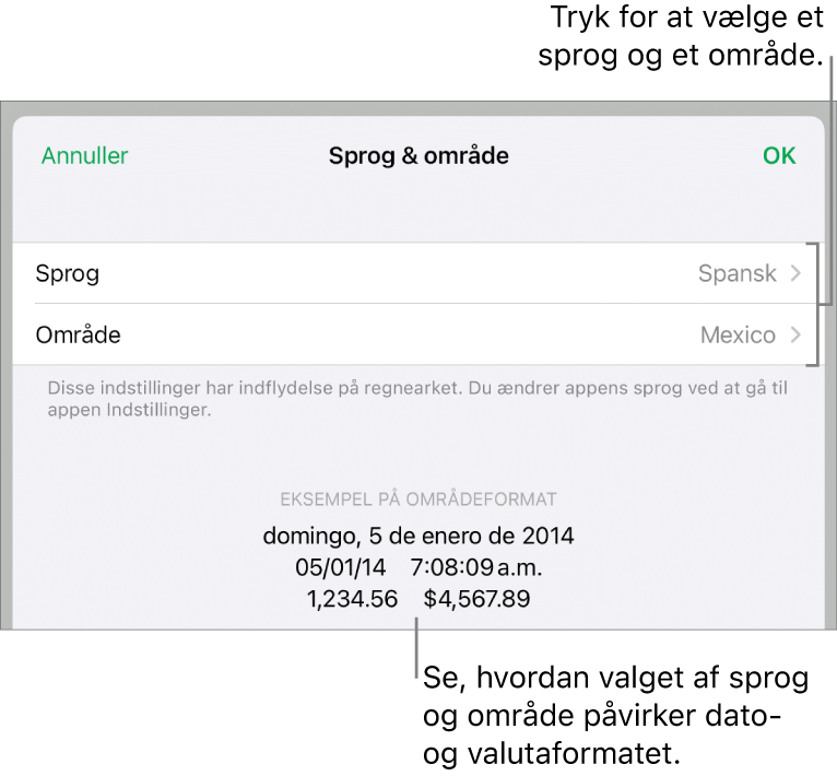 Vinduet Sprog & område med betjeningsmuligheder til sprog og område og et formateksempel, der viser dato, tid, decimaltegn og valuta.