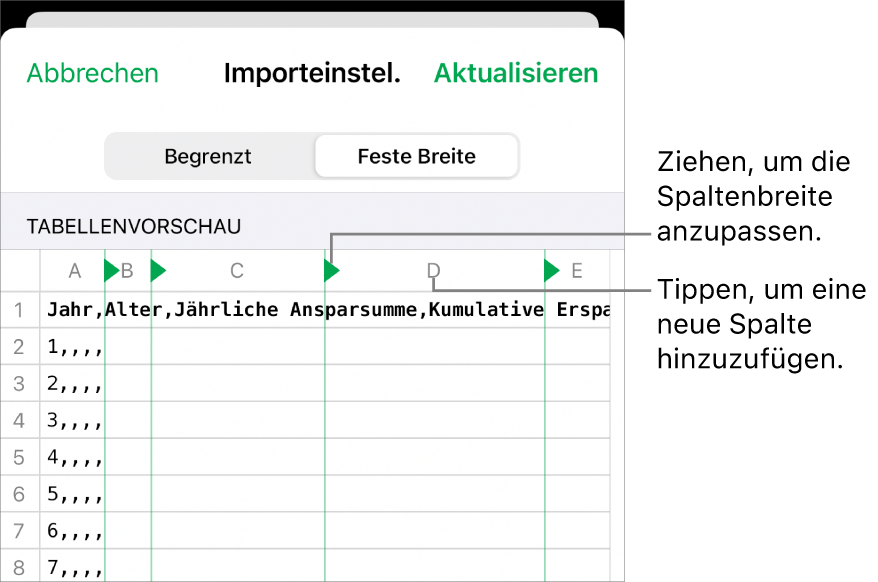 Die Importeinstellungen für eine Textdatei mit fester Breite.