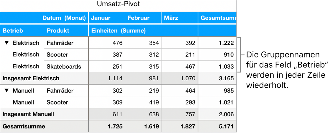 Ein Pivot-Diagramm mit den in jeder Zeile wiederholten Gruppennamen „Elektrisch“ und „Manuell“ für das Feld „Betrieb“