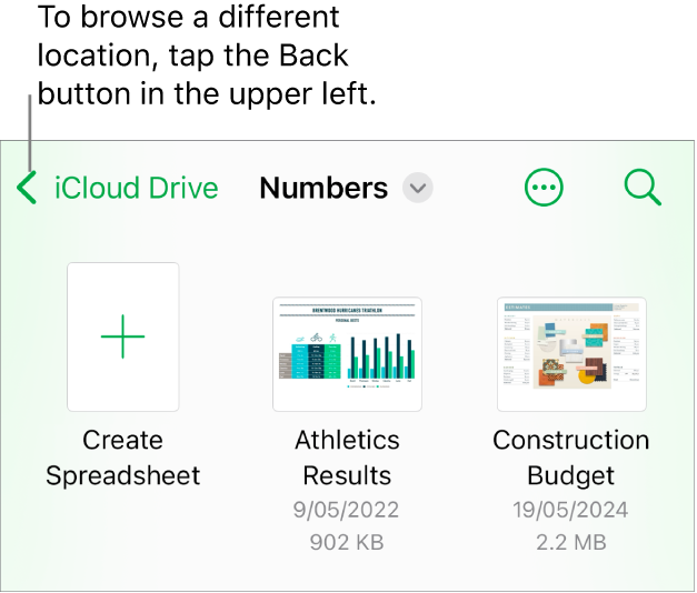 The browse view of the spreadsheet manager with the Back button in the top-left corner and below it a Search field. Below the Search field is a Create Spreadsheet button next to thumbnails of existing spreadsheets. In the top-right corner are the Add button and the More button.