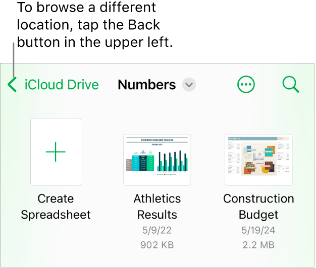 The browse view of the spreadsheet manager with the Back button in the top-left corner and below it a Search field. Below the Search field is a Create Spreadsheet button next to thumbnails of existing spreadsheets. In the top-right corner are the Add button and the More button.