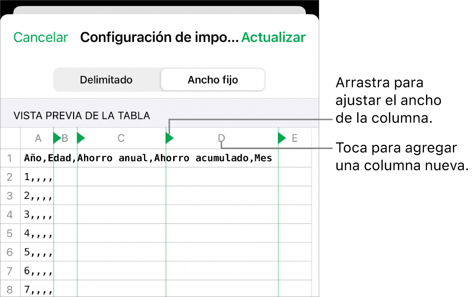 La configuración de importación de un archivo de texto de ancho fijo.