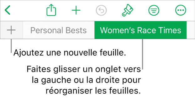 Barre des onglets pour ajouter une feuille, parcourir et réorganiser les feuilles.