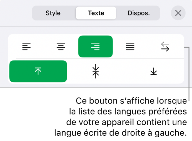 La section Style du menu Format avec une légende pour le bouton « Droite à gauche ».