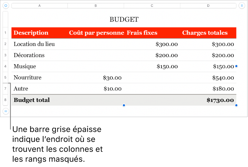 Une barre grise épaisse indique l’emplacement des rangs et des colonnes masqués.