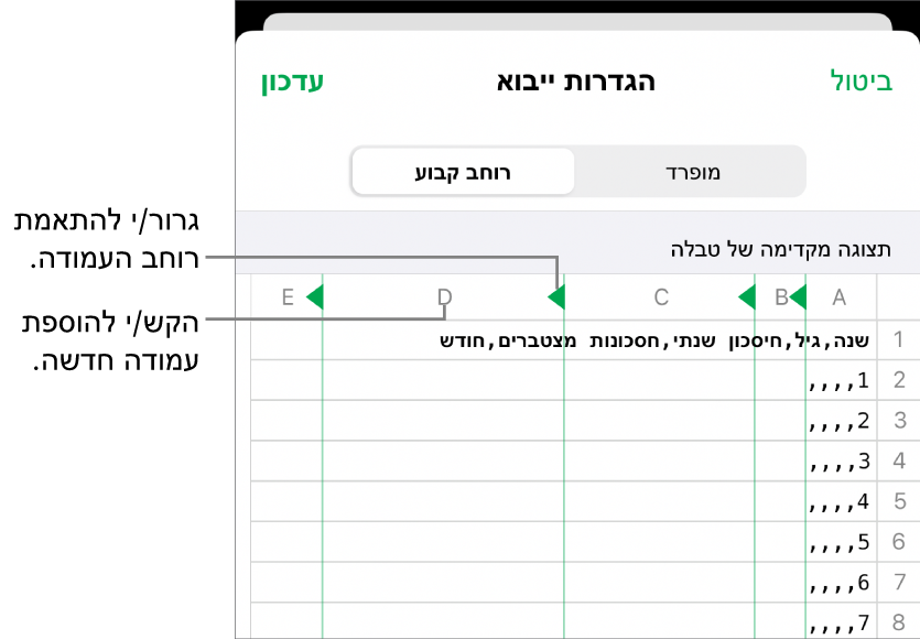 הגדרות הייבוא עבור קובץ מלל ברוחב קבוע.