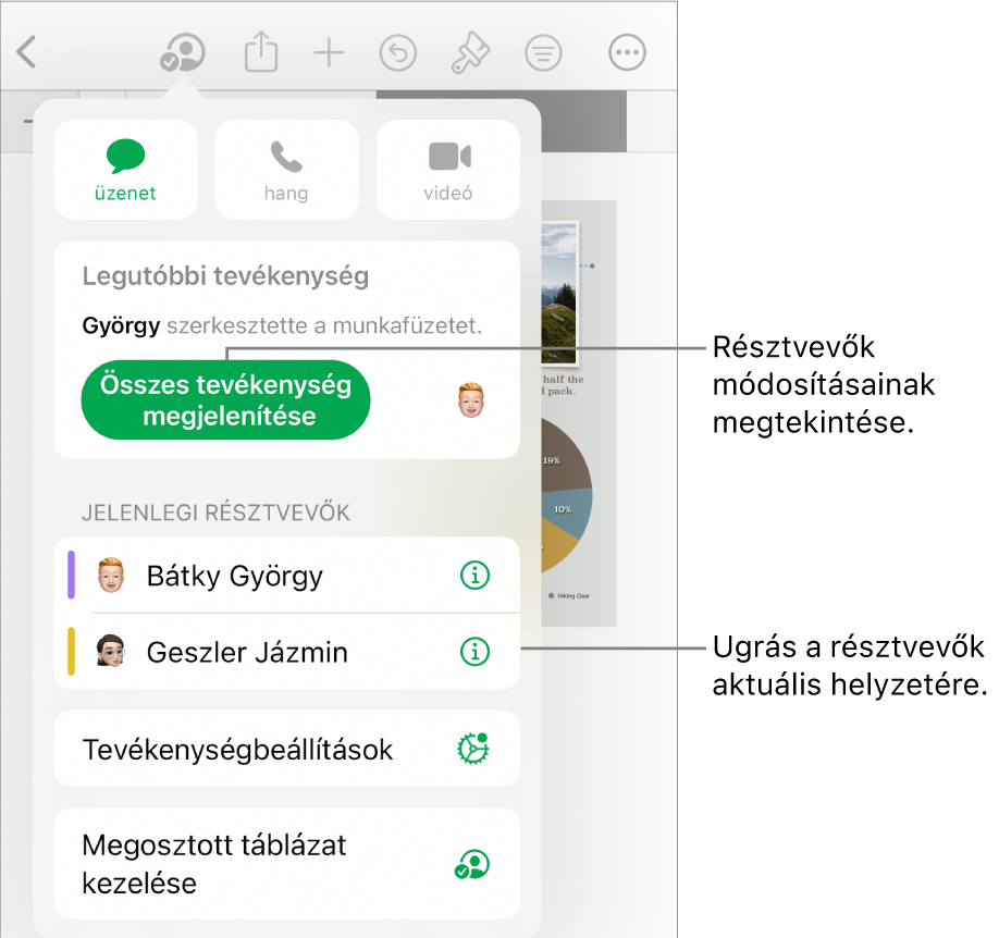 Az együttműködési menü a jelenlegi résztvevőkkel.