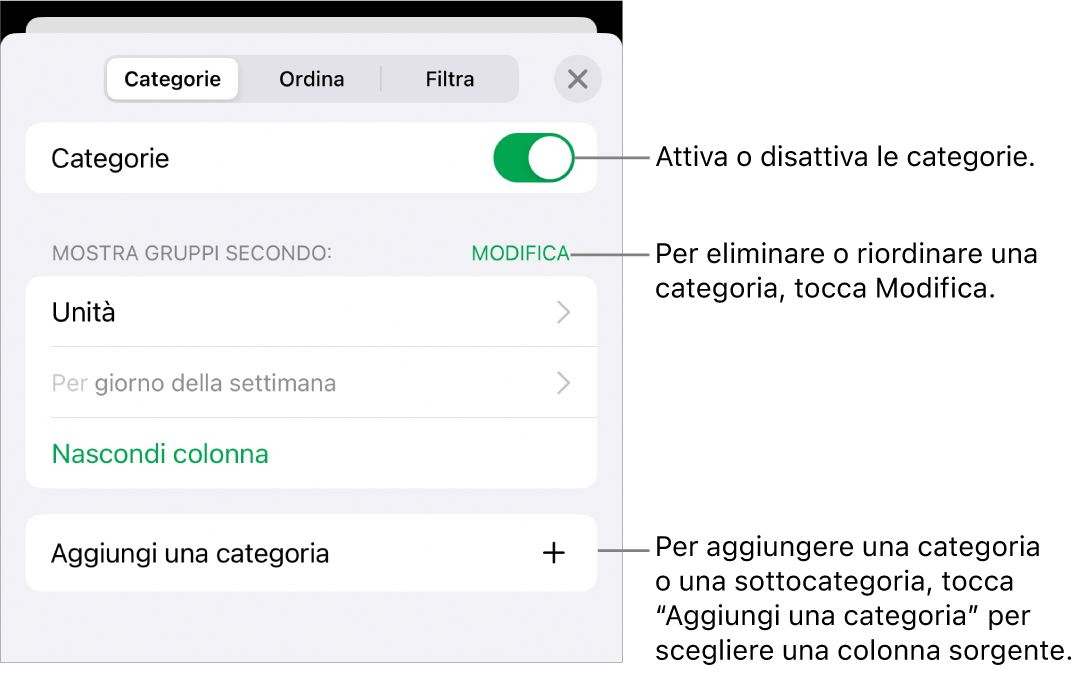 Il menu delle categorie in iPhone con opzioni per disattivare le categorie, eliminare le categorie, raggruppare i dati, nascondere una colonna sorgente e aggiungere le categorie.