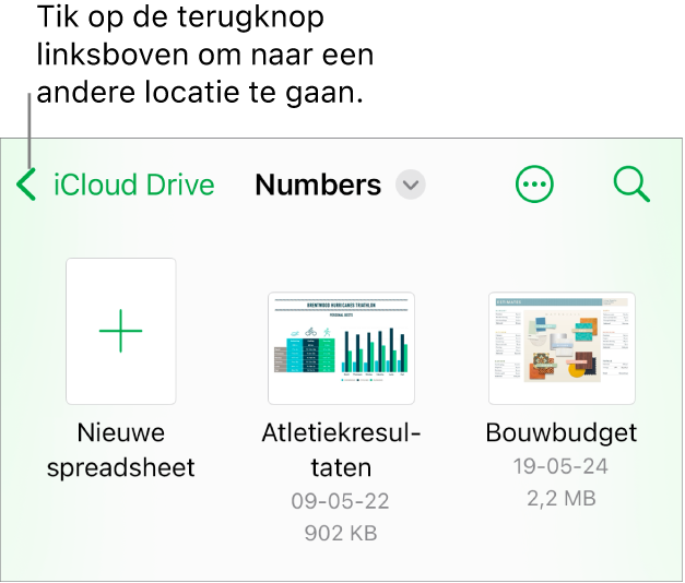 De bladerweergave van de spreadsheetweergave met linksboven een link naar andere locaties en daaronder een zoekveld. Rechtsboven staan de knop voor een nieuwe spreadsheet en de knop 'Meer'. Onder in het scherm staan de knoppen 'Recent' en 'Blader'.