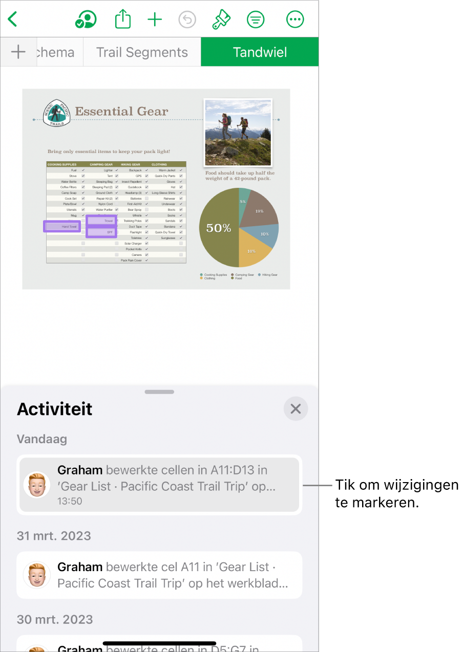 Een gedeelde spreadsheet waarin het samenwerkingsmenu en de activiteitenlijst beide geopend zijn.