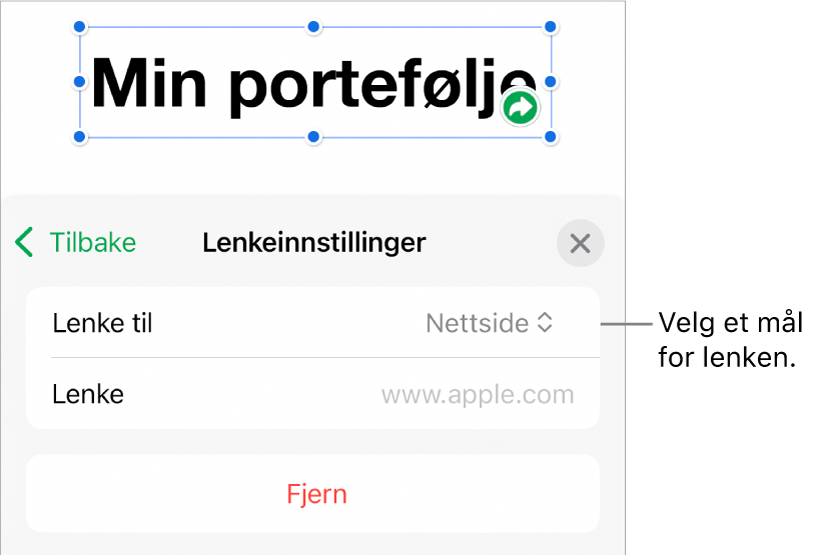 Lenkeinnstillinger-kontrollene med Nettside markert og Fjern-knappen nederst.