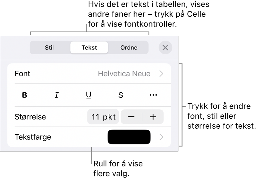 Tekstkontroller i Format-menyen for å angi avsnitts- og tegnstiler, font, størrelse og farge.