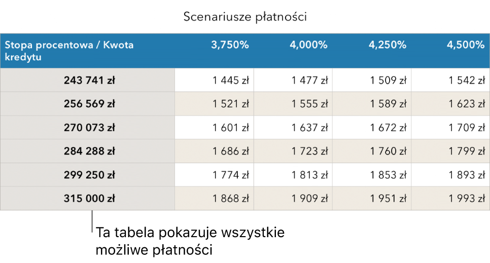 Tabela kredytu hipotecznego przed filtrowaniem w celu wyświetlenia przystępnych rat.