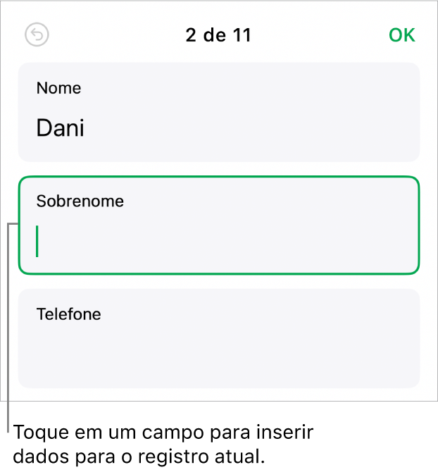 Um registro em um formulário mostrando um campo ativo com um ponto de inserção.