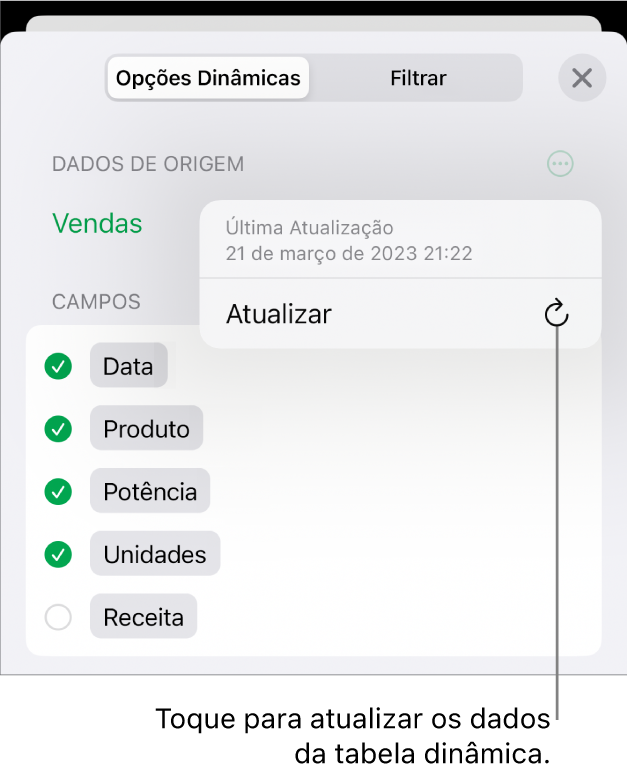 Menu Opções Dinâmicas mostrando a opção de atualizar a tabela dinâmica.