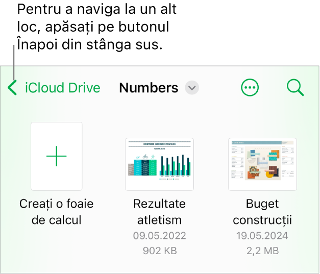 Gestionarul de foi de calcul pentru iPhone.
