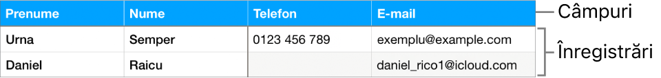 Un tabel configurat corect pentru a fi utilizat cu formulare, cu un rând de antet care include etichete de câmp și o listă de înregistrări afișând datele de contact pentru registre de echipe sportive.